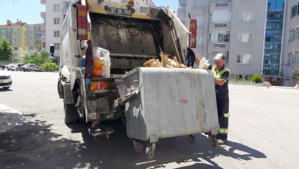 Foto - Bunun adı vicdansızlık, kilolarca sarımsak çöp konteynerine atıldı! Sebebi...