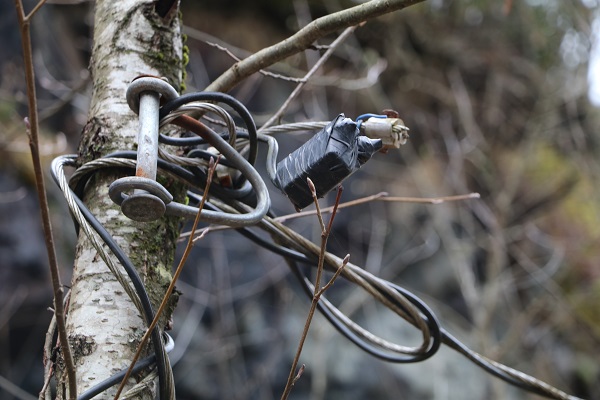 Foto - Bunun hesabını kim verecek? Karadenizlinin müthiş zekası tamam da bu kadarı fazla