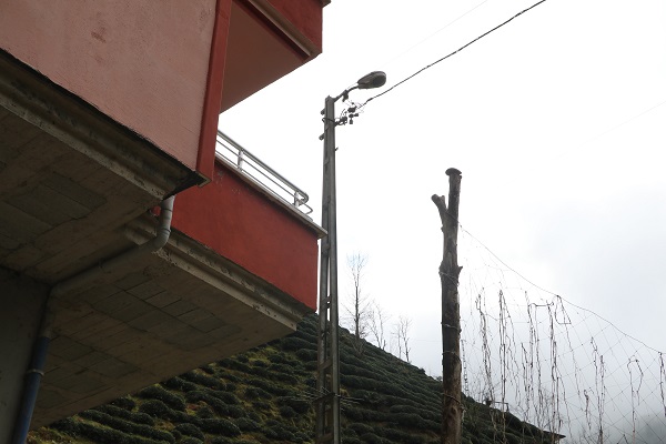 Foto - Bunun hesabını kim verecek? Karadenizlinin müthiş zekası tamam da bu kadarı fazla