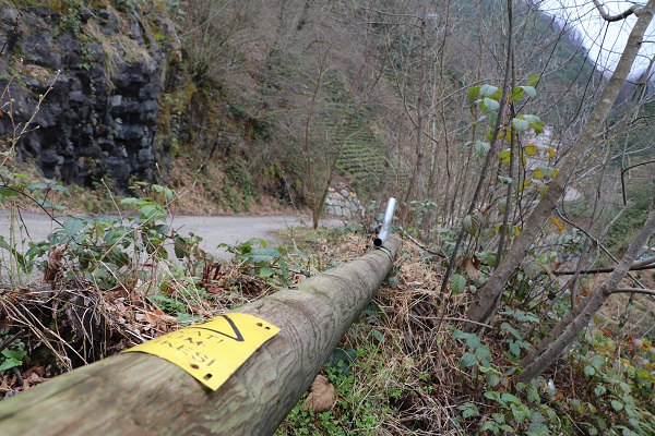 Foto - Bunun hesabını kim verecek? Karadenizlinin müthiş zekası tamam da bu kadarı fazla