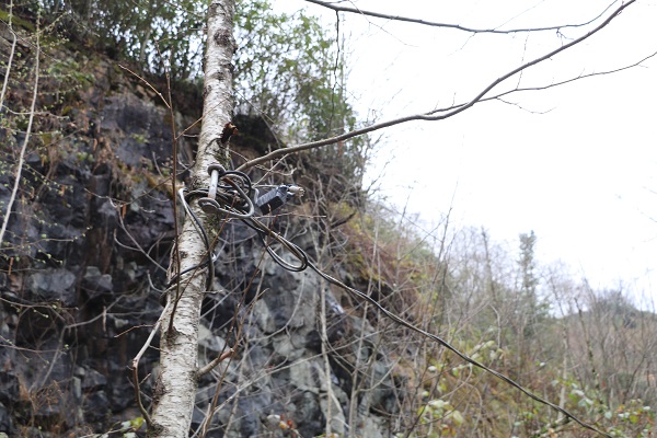 Bunun hesabını kim verecek? Karadenizlinin müthiş zekası tamam da bu kadarı fazla