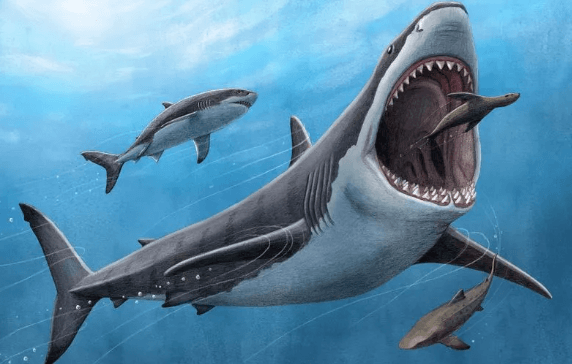 Foto - "Burada dünyaya büyük bir mesaj var" diyerek duyurdular! Şok eden gerçek, sonunda ortaya çıktı 