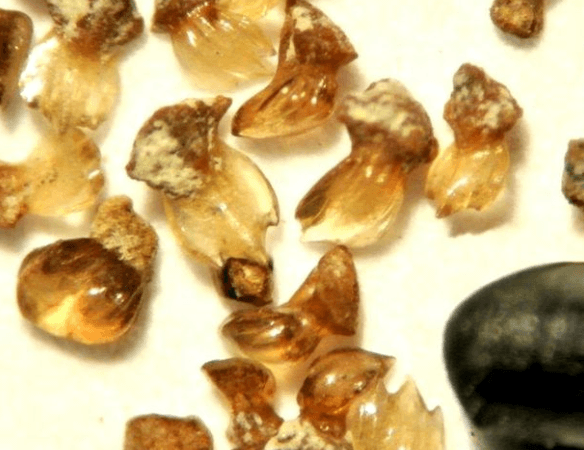 "Burada dünyaya büyük bir mesaj var" diyerek duyurdular! Şok eden gerçek, sonunda ortaya çıktı 