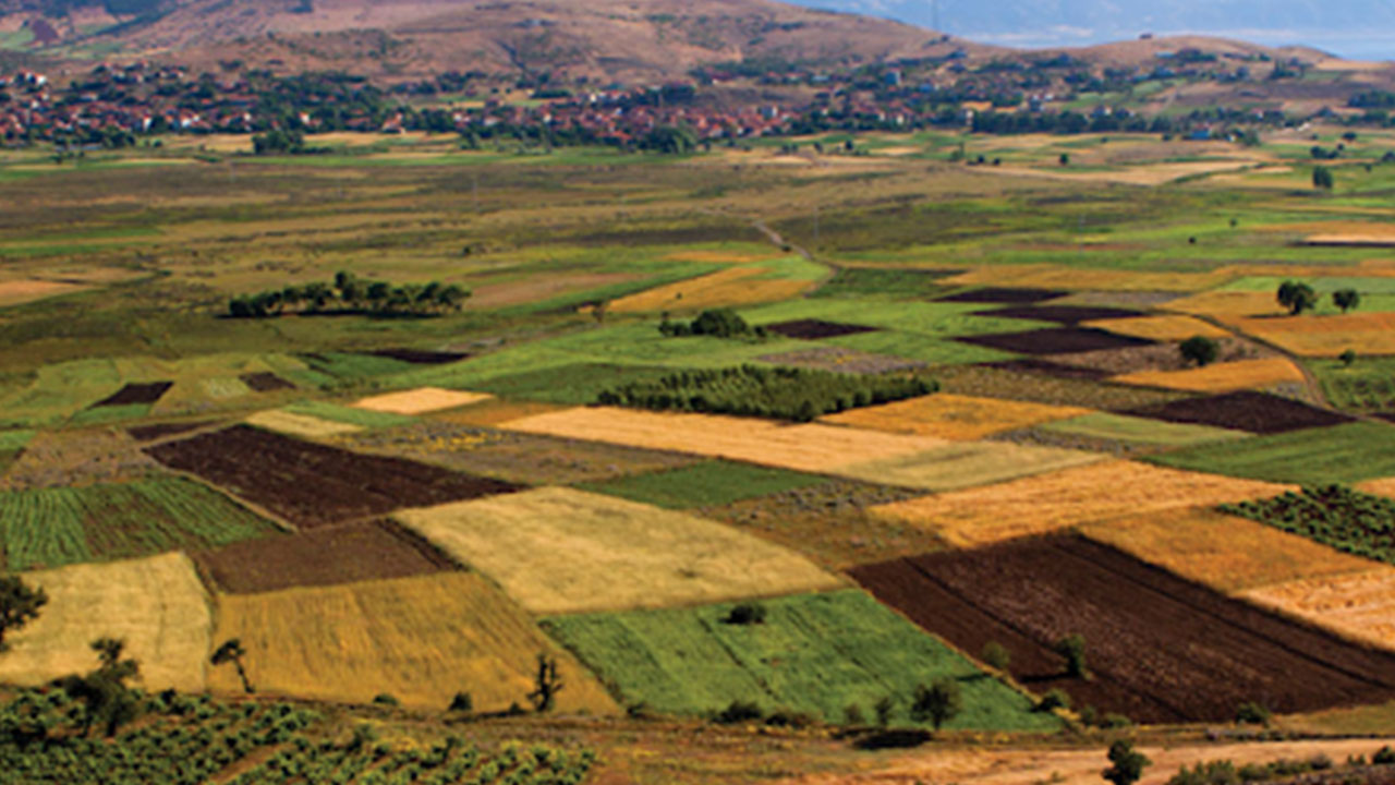 Foto - Burada toprağı olanlar yaşadı! Bir karış arazisi olanı bile zengin edecek