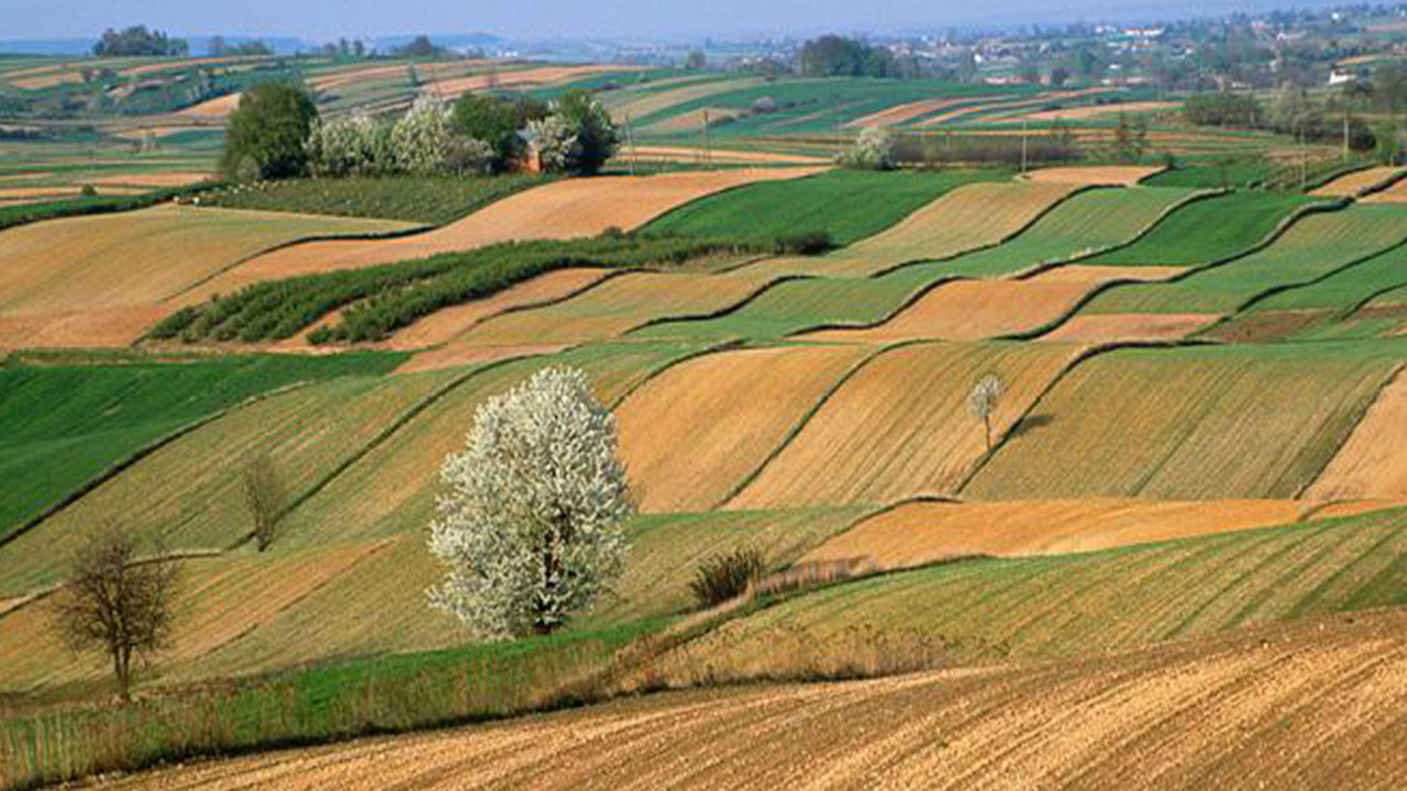 Foto - Burada toprağı olanlar yaşadı! Bir karış arazisi olanı bile zengin edecek