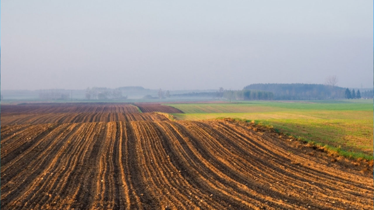 Foto - Burada toprağı olanlar yaşadı! Bir karış arazisi olanı bile zengin edecek