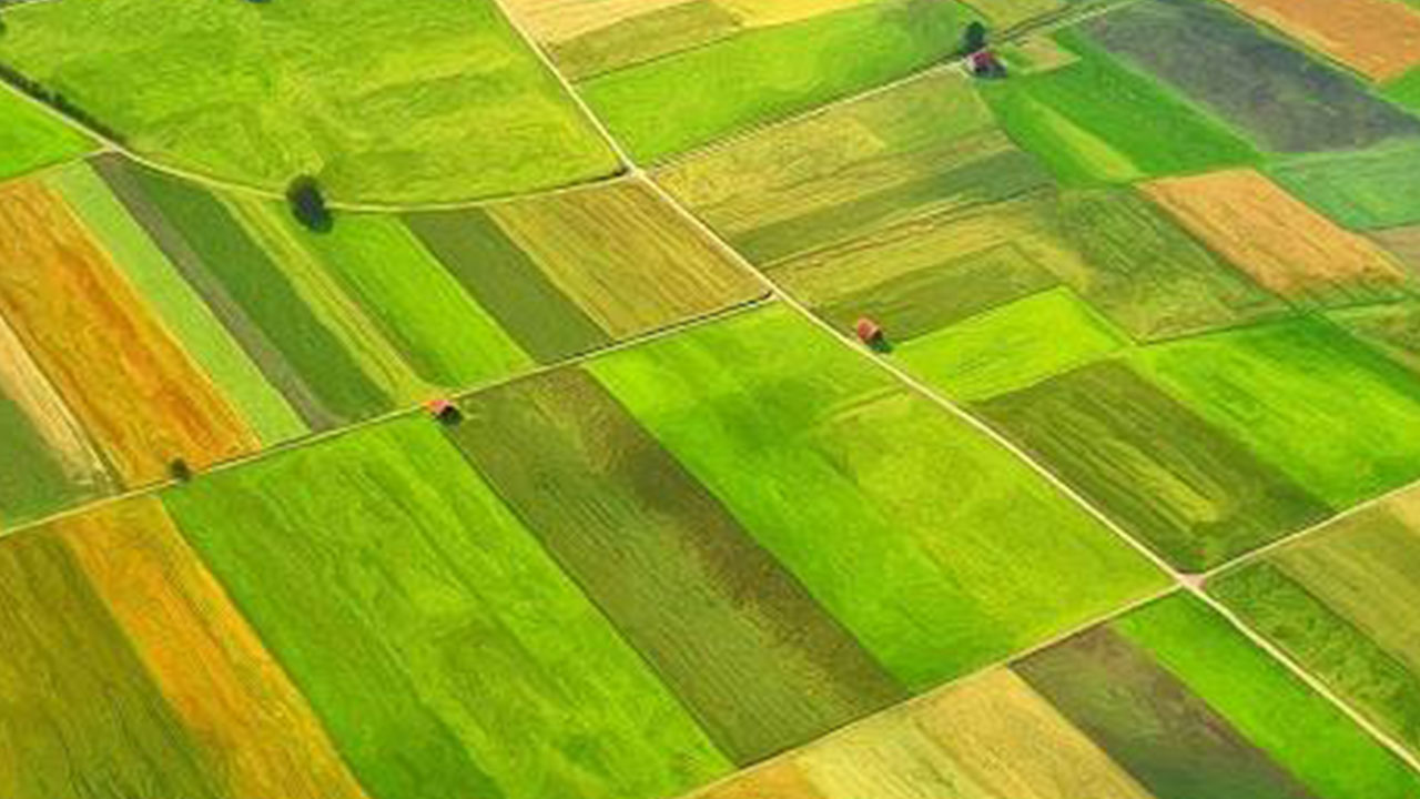 Foto - Burada toprağı olanlar yaşadı! Bir karış arazisi olanı bile zengin edecek