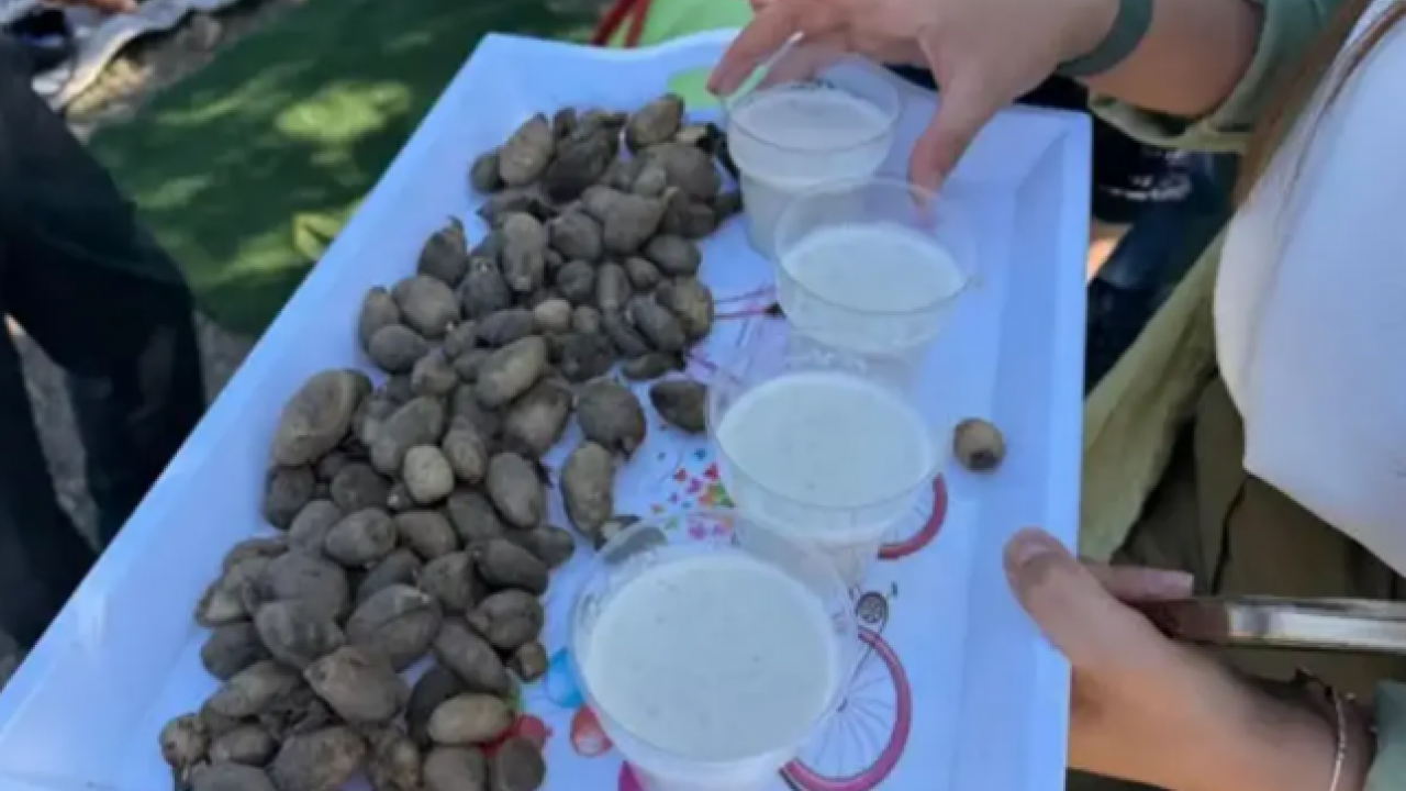 Burada yetişmez deniyordu! Kilosunu 15 bin liradan satıyorlar!