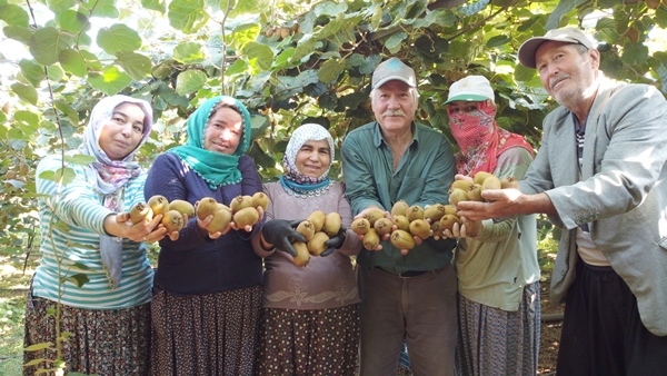 "Burada yetişmez" diyenlere kulak asmadı... Şimdi Asya ve Avrupa'dan talep yağıyor