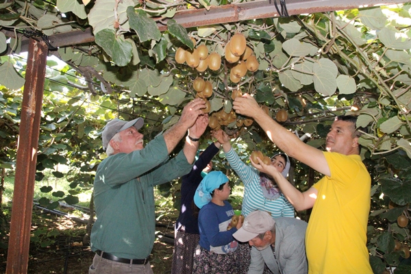 Foto - "Burada yetişmez" diyenlere kulak asmadı... Şimdi Asya ve Avrupa'dan talep yağıyor