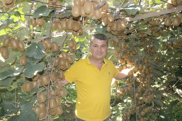 Foto - "Burada yetişmez" diyenlere kulak asmadı... Şimdi Asya ve Avrupa'dan talep yağıyor