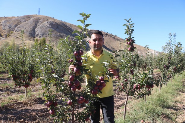 Foto - 'Burada yetişmez' diyenleri dinlemedi! Tarlasına ekince olanlar oldu, kendisi bile bu kadarını beklemiyordu