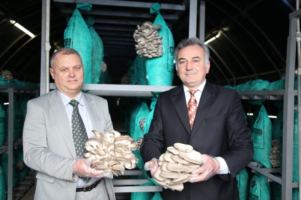 Foto - Buradan araba geçmiyor Tünelin içindekileri görünce şaşkına döneceksiniz