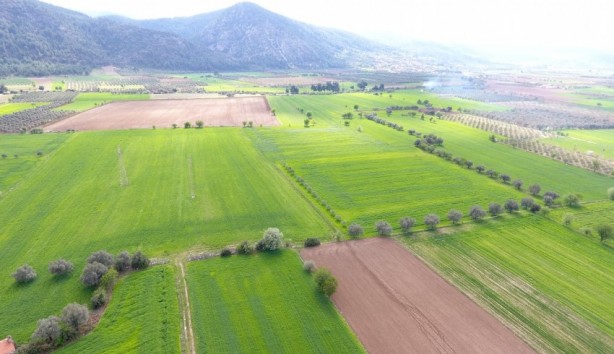 Foto - Buradan arsa alan zengin oldu! Döviz bazında yüzde 250 kazandırdı... Duyan bölgeye koşuyor