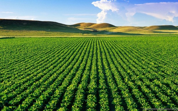 Foto - Buradan arsa alan zengin oldu! Döviz bazında yüzde 250 kazandırdı... Duyan bölgeye koşuyor