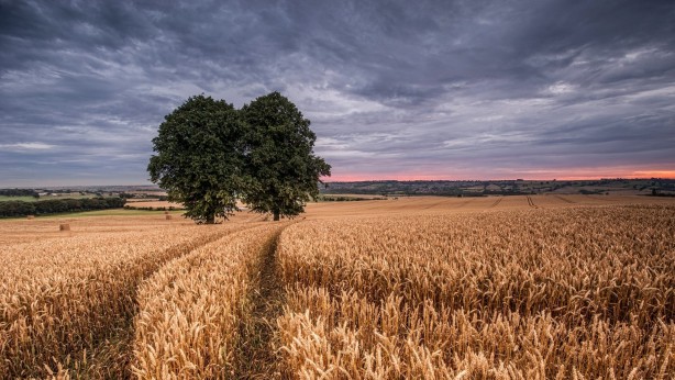 Foto - Buradan arsa alan zengin oldu! Döviz bazında yüzde 250 kazandırdı... Duyan bölgeye koşuyor
