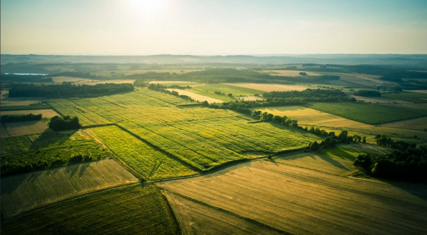 Foto - Buradan arsa alan zengin oldu! Döviz bazında yüzde 250 kazandırdı... Duyan bölgeye koşuyor