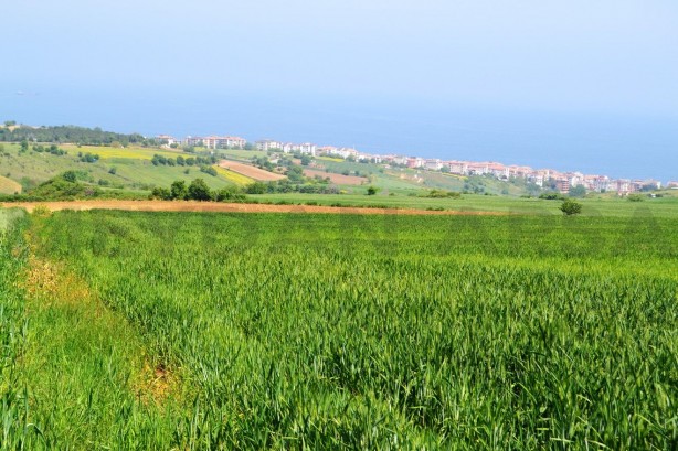 Foto - Buradan arsa alan zengin oldu! Döviz bazında yüzde 250 kazandırdı... Duyan bölgeye koşuyor