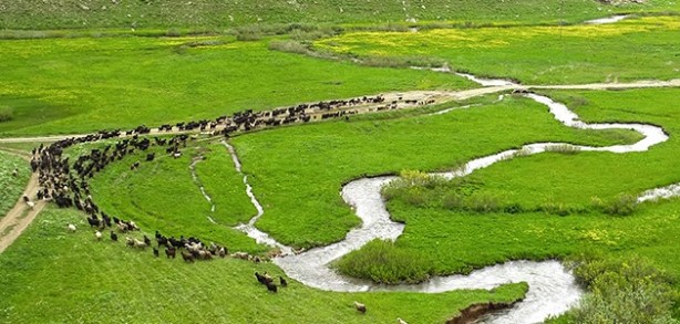 Foto - 'Buralar uçacak' denmişti! Türkiye'nin dünyaca ünlü yaylasının altında büyük bir petrol rezervi olabilir
