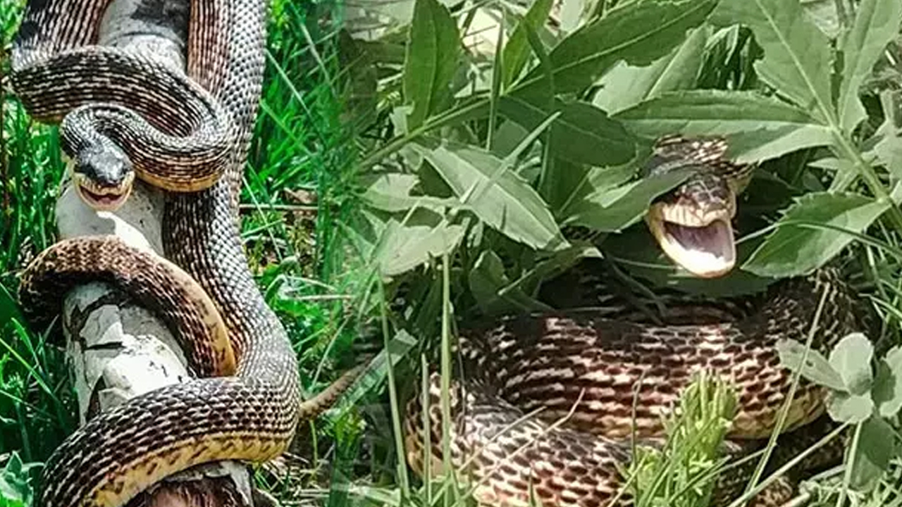 Buralarda ölmeniz an meselesi! İşte Gezegenimizin hayatta kalması en zor 5 yeri