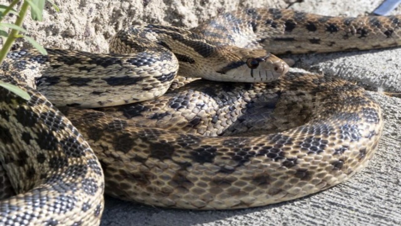 Foto - Buralarda ölmeniz an meselesi! İşte Gezegenimizin hayatta kalması en zor 5 yeri