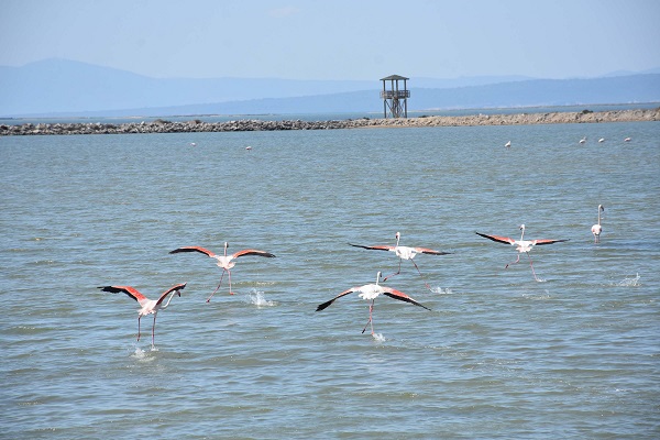 Burası 300 kuş türüne ev sahipliği yapıyor