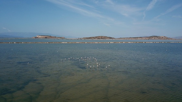Foto - Burası 300 kuş türüne ev sahipliği yapıyor