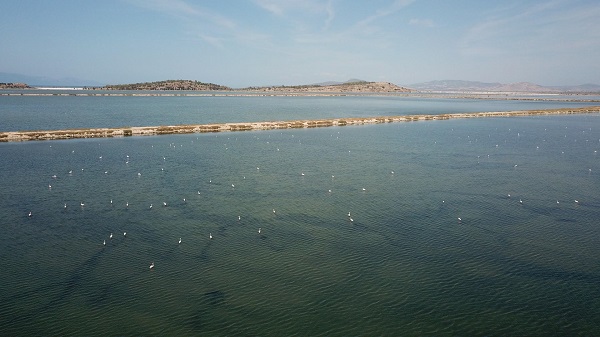 Foto - Burası 300 kuş türüne ev sahipliği yapıyor