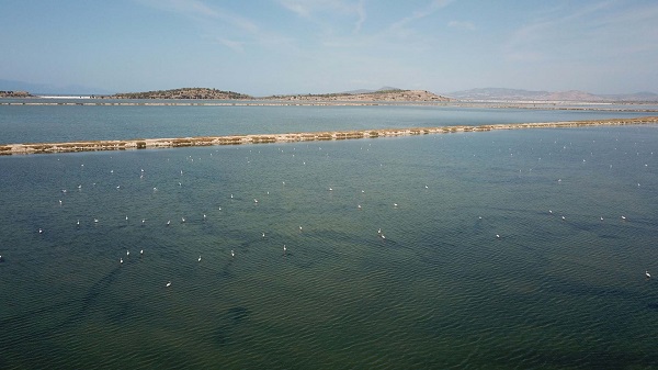 Foto - Burası 300 kuş türüne ev sahipliği yapıyor