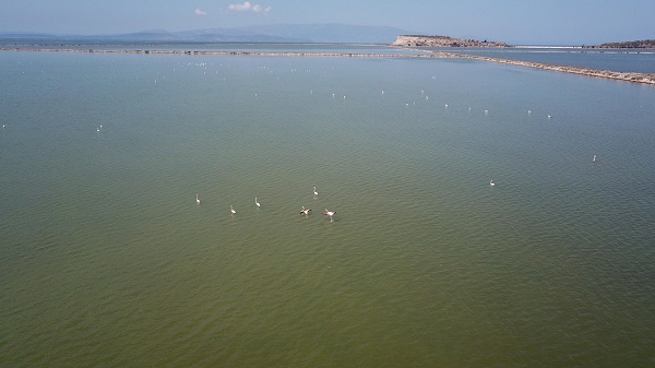 Foto - Burası 300 kuş türüne ev sahipliği yapıyor