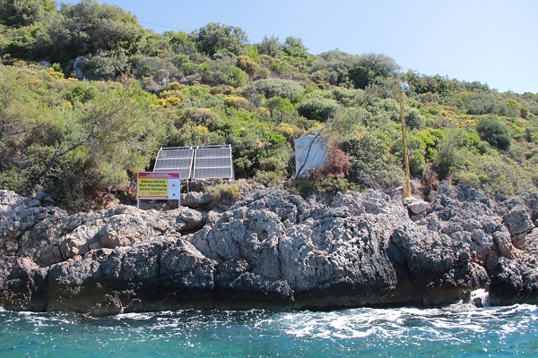 Foto - Bu alan köpek balığı üretim yeri oldu