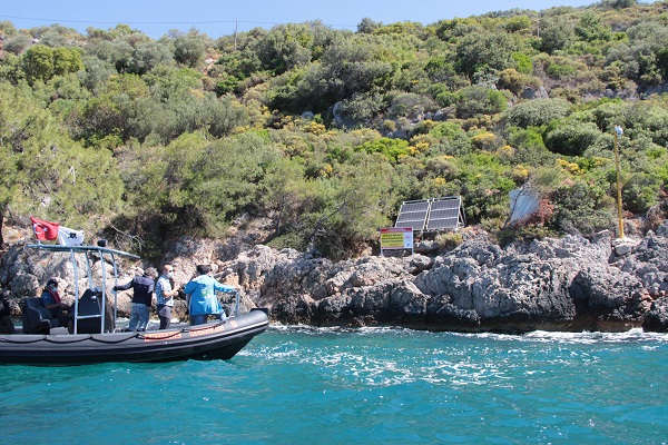 Foto - Bu alan köpek balığı üretim yeri oldu