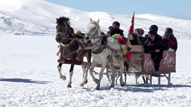 Burası Alaska'dan değil TÜRKİYE'den! O ilimizde minibüsler değil atlı kızaklar çalışıyor