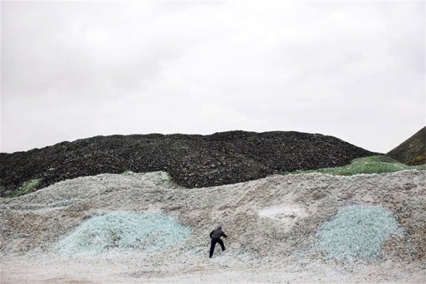 Foto - Burası bir orman değil!