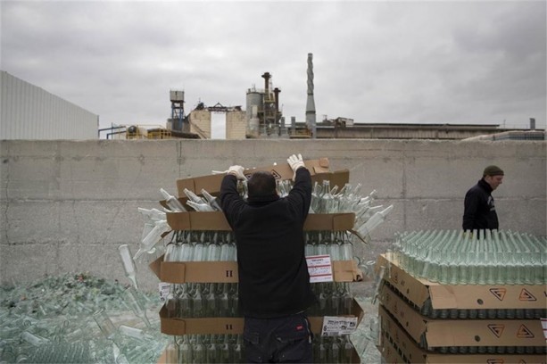 Foto - Burası bir orman değil!