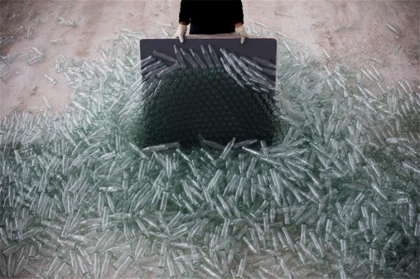 Foto - Burası bir orman değil!