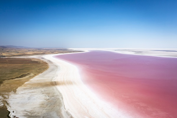 Foto - Burası dünyanın başka köşesi değil! Tuz Gölü pembeye büründü