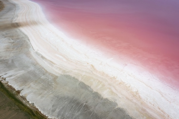 Foto - Burası dünyanın başka köşesi değil! Tuz Gölü pembeye büründü