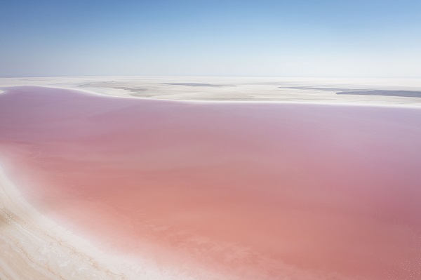 Foto - Burası dünyanın başka köşesi değil! Tuz Gölü pembeye büründü