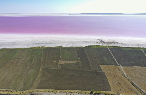 Foto - Burası dünyanın başka köşesi değil! Tuz Gölü pembeye büründü