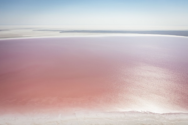 Foto - Burası dünyanın başka köşesi değil! Tuz Gölü pembeye büründü