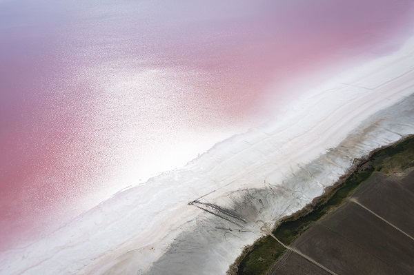 Foto - Burası dünyanın başka köşesi değil! Tuz Gölü pembeye büründü