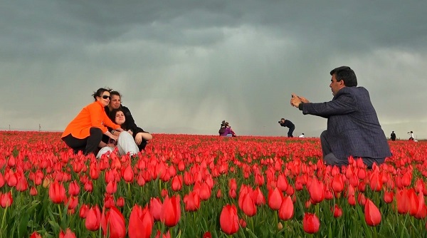 Foto - Burası Hollanda değil Türkiye | 15 günlük lale devri başladı!