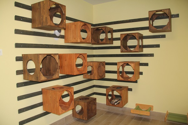 Foto - Burası otel değil barınak! 