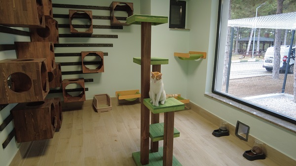 Foto - Burası otel değil barınak! 