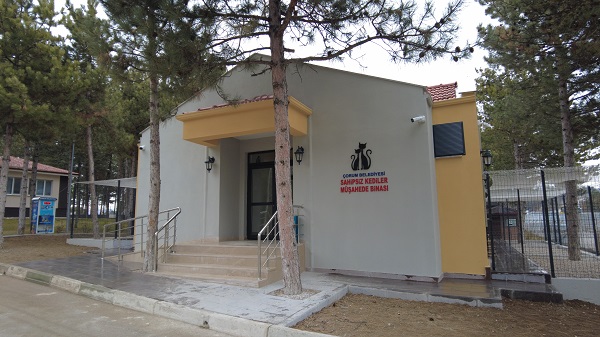 Foto - Burası otel değil barınak! 