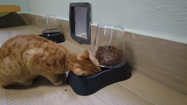 Foto - Burası otel değil barınak! 