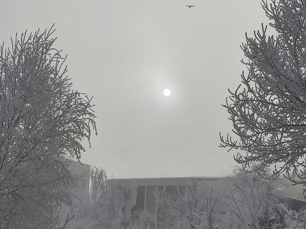 Foto - Burası Sibirya değil Ardahan! -31 derecede kirpikleri kaşları dondu