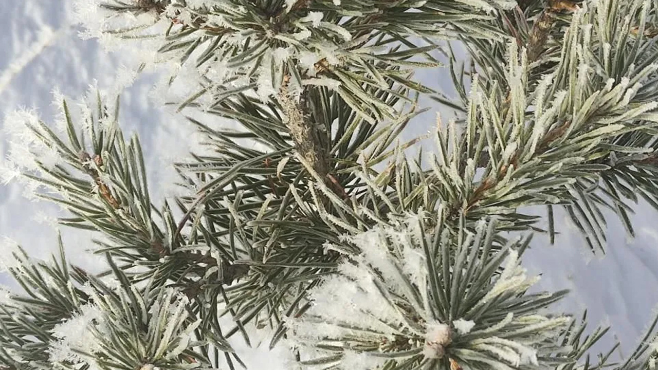 Foto - Burası Sibirya değil Türkiye! O ilimiz eksi 32 dereceyi gördü