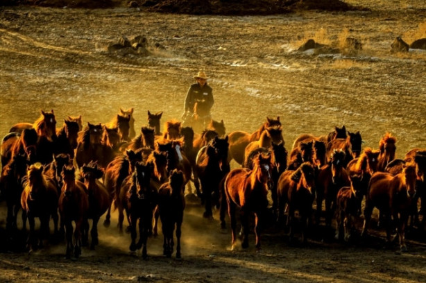 Foto - Burası Texas değil Türkiye